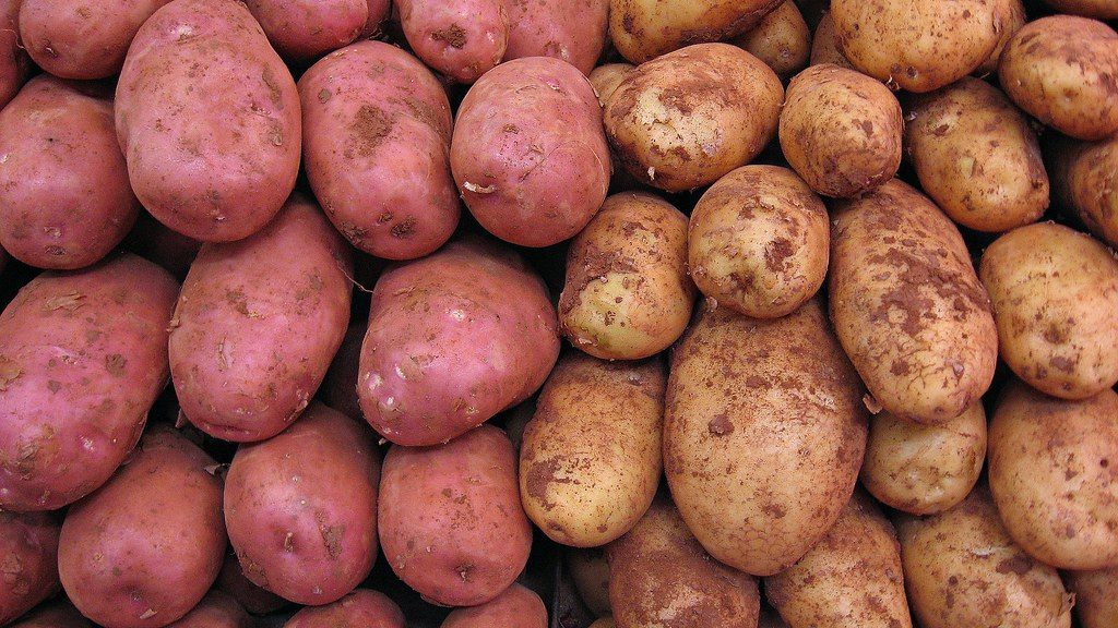 Agro-Market Linkages and Intelligence