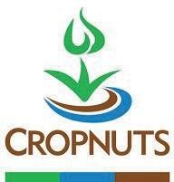 Cropnuts