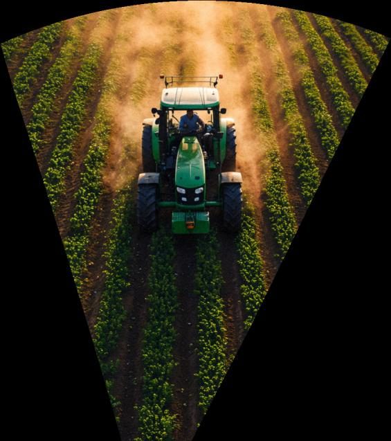 J.C.H Farms, Angola